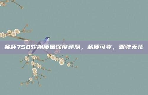 金杯750轮胎质量深度评测,品质可靠,驾驶无忧