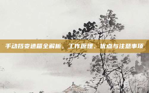 手动挡变速箱全解析,工作原理、优点与注意事项