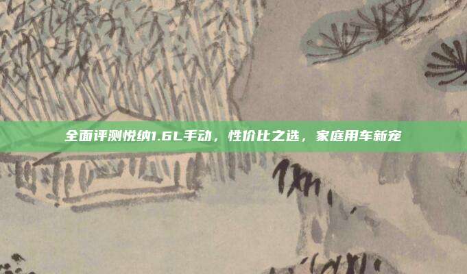 全面评测悦纳1.6L手动,性价比之选,家庭用车新宠