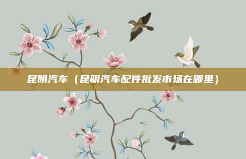 昆明汽车（昆明汽车配件批发市场在哪里）
