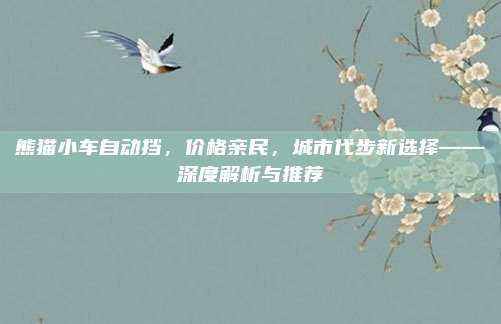 熊猫小车自动挡，价格亲民，城市代步新选择——深度解析与推荐