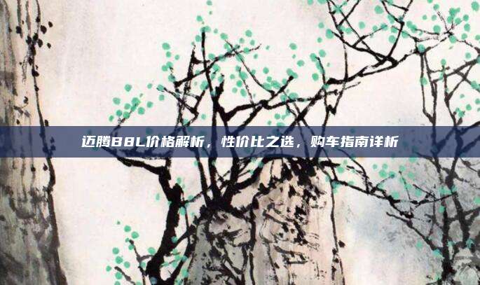 迈腾B8L价格解析，性价比之选，购车指南详析