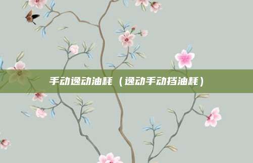 手动逸动油耗（逸动手动挡油耗）
