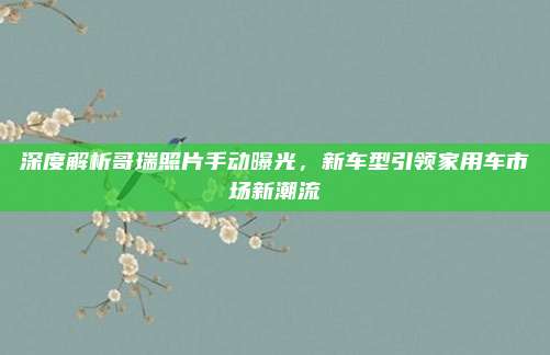 深度解析哥瑞照片手动曝光,新车型引领家用车市场新潮流