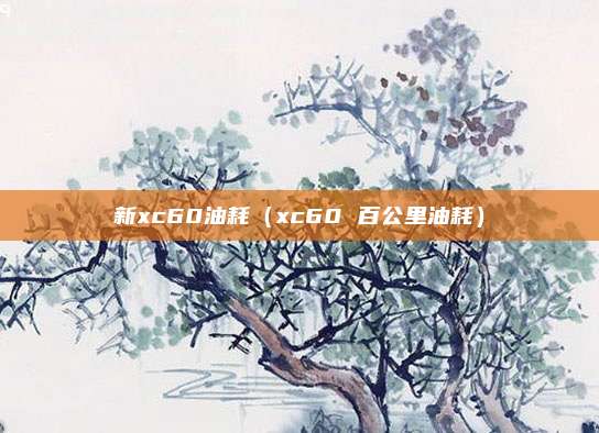 新xc60油耗（xc60 百公里油耗）