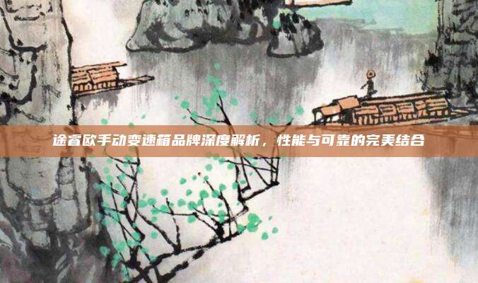 途睿欧手动变速箱品牌深度解析，性能与可靠的完美结合