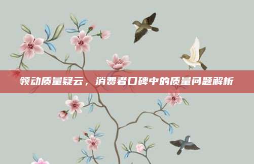 领动质量疑云，消费者口碑中的质量问题解析