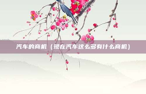 汽车的商机（现在汽车这么多有什么商机）