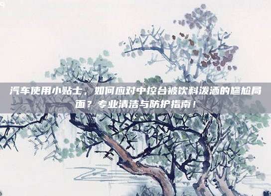 汽车使用小贴士，如何应对中控台被饮料泼洒的尴尬局面？专业清洁与防护指南！