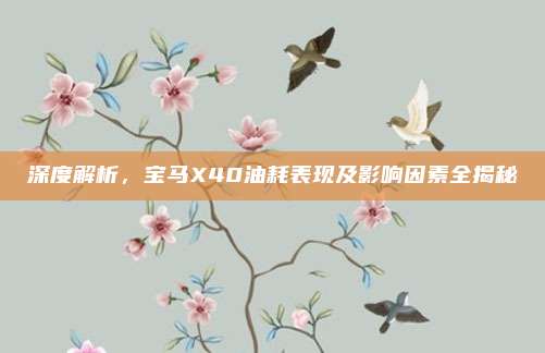 深度解析，宝马X40油耗表现及影响因素全揭秘