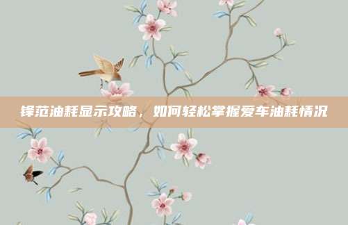 锋范油耗显示攻略，如何轻松掌握爱车油耗情况