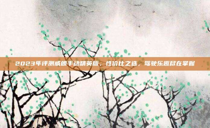 2023年评测威朗手动精英版，性价比之选，驾驶乐趣尽在掌握