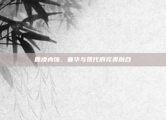 鹿皮内饰，奢华与现代的完美融合