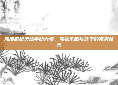 深度解析奥迪手动六档，驾驶乐趣与效率的完美结合