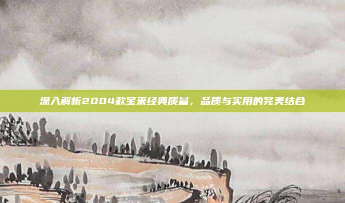深入解析2004款宝来经典质量,品质与实用的完美结合