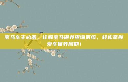 宝马车主必备,详解宝马保养查询系统,轻松掌握爱车保养周期!