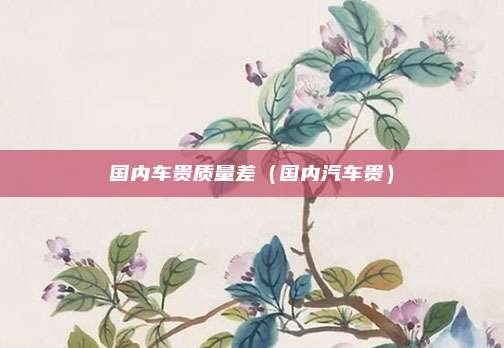 国内车贵质量差(国内汽车贵)