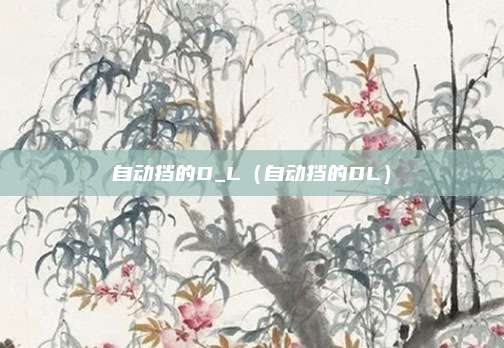 自动挡的D_L（自动挡的DL）
