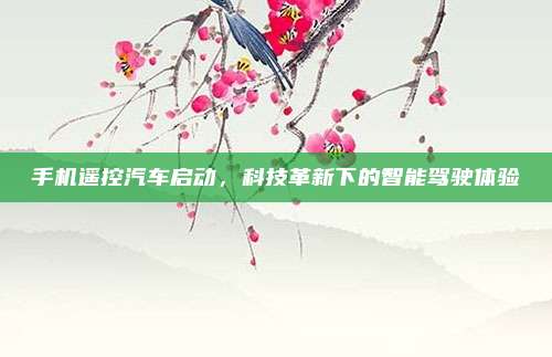 手机遥控汽车启动，科技革新下的智能驾驶体验