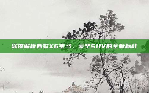 深度解析新款X6宝马，豪华SUV的全新标杆