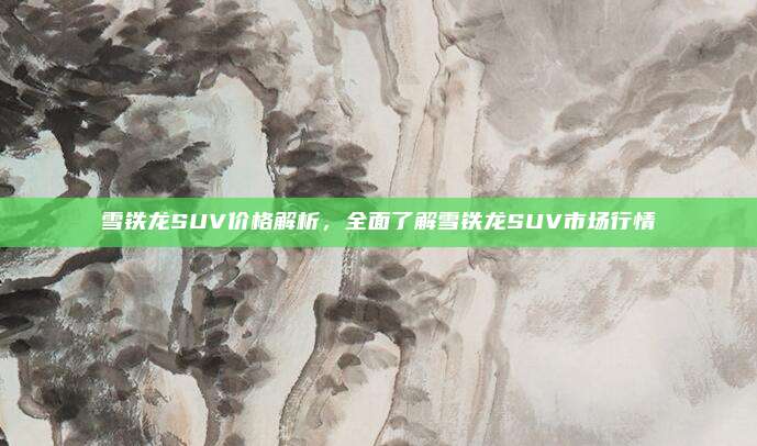 雪铁龙SUV价格解析，全面了解雪铁龙SUV市场行情