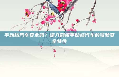 手动档汽车安全吗？深入剖析手动档汽车的驾驶安全特性