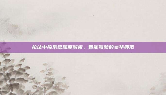 拉法中控系统深度解析，智能驾驶的豪华典范