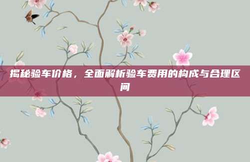 揭秘验车价格,全面解析验车费用的构成与合理区间
