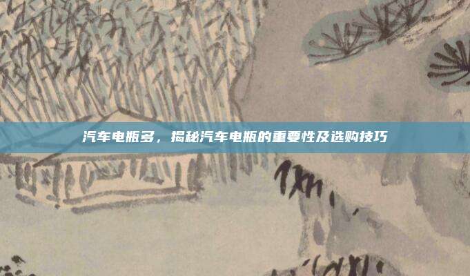 汽车电瓶多,揭秘汽车电瓶的重要性及选购技巧