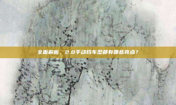 全面解析,2.0手动挡车型都有哪些亮点?