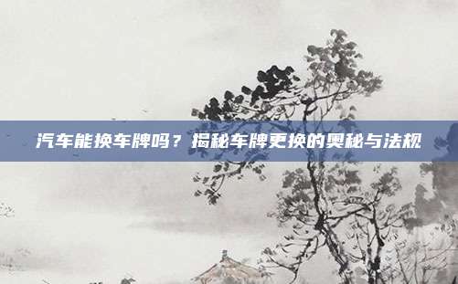 汽车能换车牌吗？揭秘车牌更换的奥秘与法规
