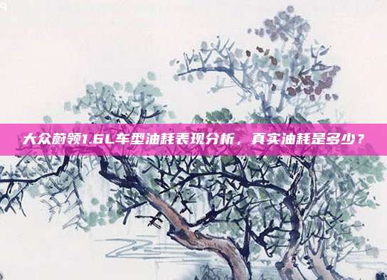 大众蔚领1.6L车型油耗表现分析，真实油耗是多少？