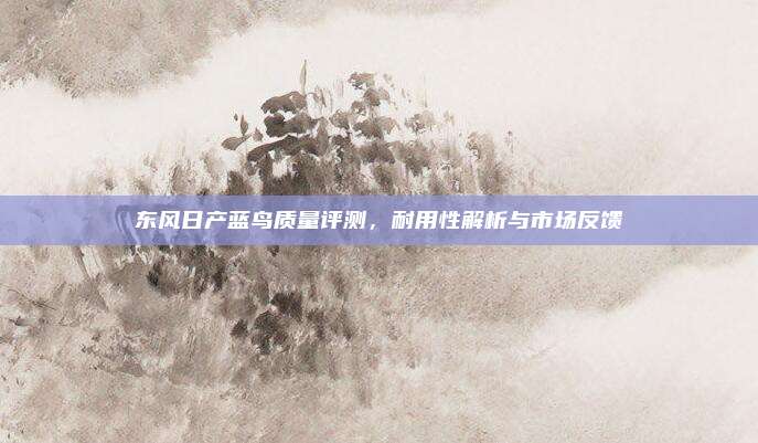 东风日产蓝鸟质量评测，耐用性解析与市场反馈