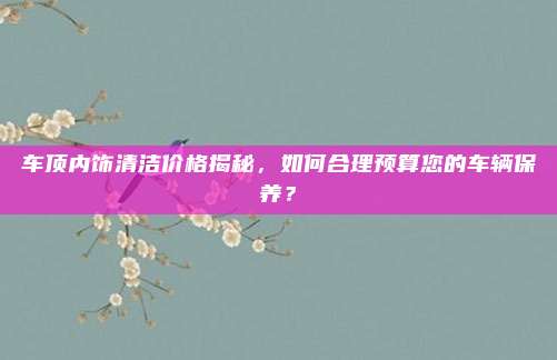 车顶内饰清洁价格揭秘，如何合理预算您的车辆保养？