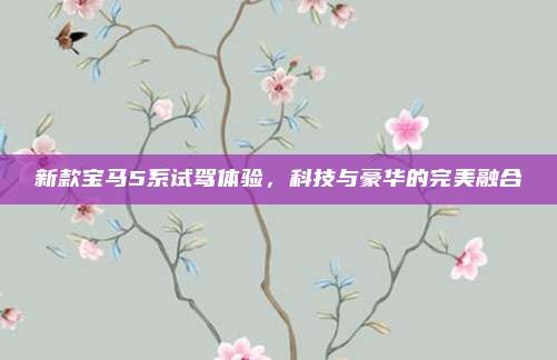 新款宝马5系试驾体验，科技与豪华的完美融合