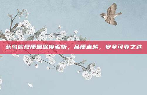 蓝鸟底盘质量深度解析，品质卓越，安全可靠之选