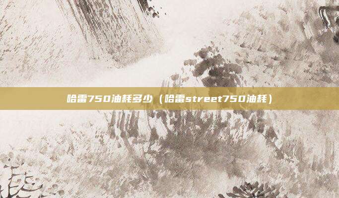 哈雷750油耗多少（哈雷street750油耗）