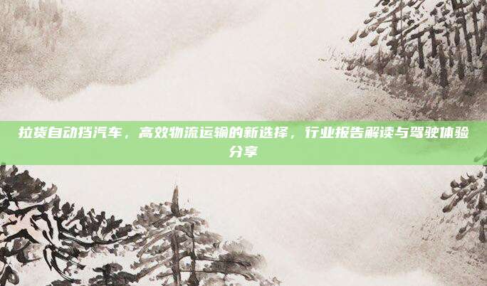 拉货自动挡汽车，高效物流运输的新选择，行业报告解读与驾驶体验分享