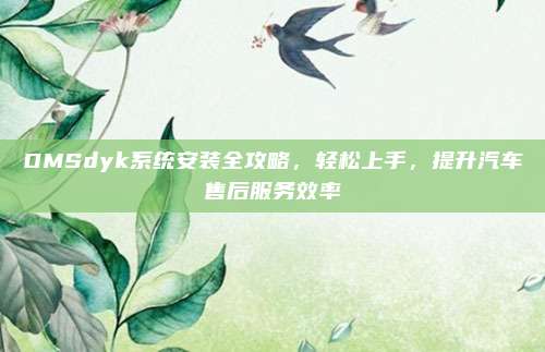 DMSdyk系统安装全攻略，轻松上手，提升汽车售后服务效率