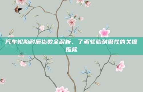 汽车轮胎耐磨指数全解析，了解轮胎耐磨性的关键指标