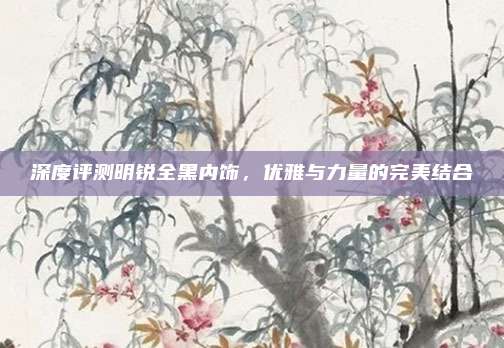 深度评测明锐全黑内饰，优雅与力量的完美结合