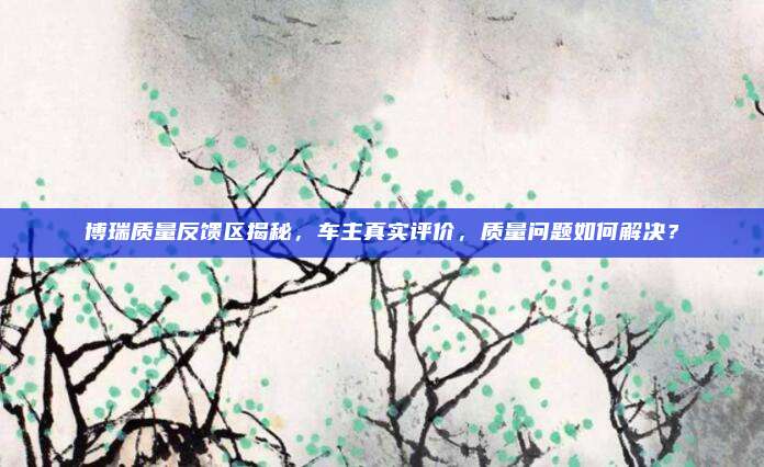 博瑞质量反馈区揭秘，车主真实评价，质量问题如何解决？