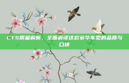 CTS质量解析，全面解读这款豪华车型的品质与口碑