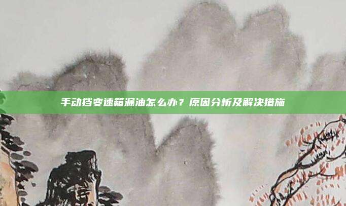 手动挡变速箱漏油怎么办？原因分析及解决措施