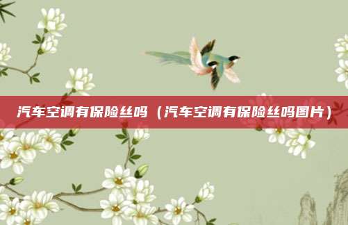 汽车空调有保险丝吗（汽车空调有保险丝吗图片）