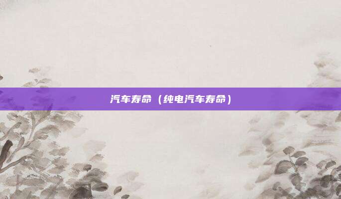 汽车寿命（纯电汽车寿命）