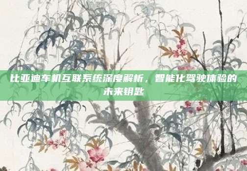 比亚迪车机互联系统深度解析，智能化驾驶体验的未来钥匙