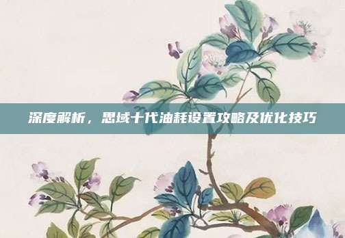 深度解析，思域十代油耗设置攻略及优化技巧