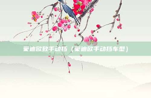 蒙迪欧致手动挡(蒙迪欧手动挡车型)