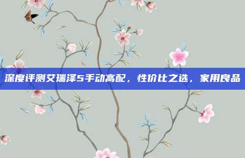 深度评测艾瑞泽5手动高配，性价比之选，家用良品